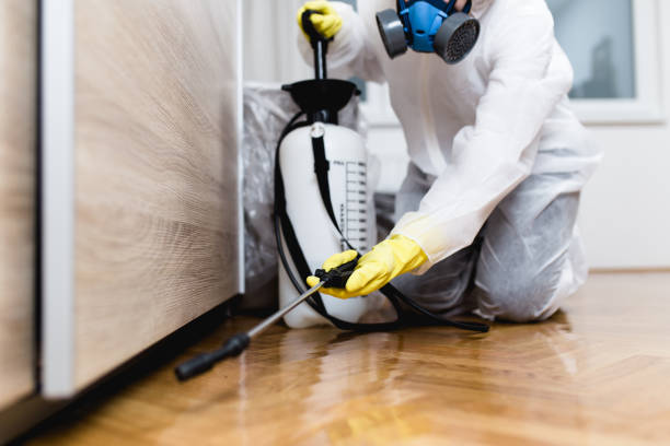 Reliable Douglas, AL Pest Control Solutions