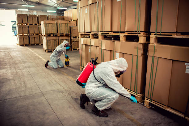 Best Pest Control Near Me  in Douglas, AL