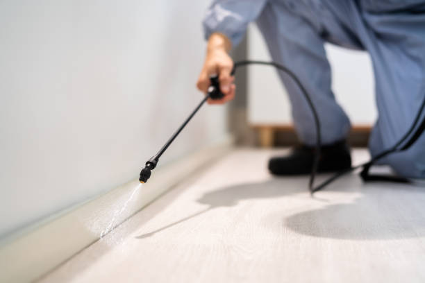 Best Pest Prevention Services  in Douglas, AL