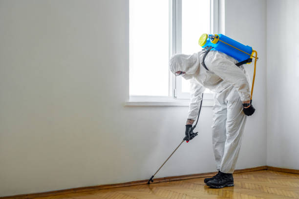 Best Pest Inspection Near Me  in Douglas, AL