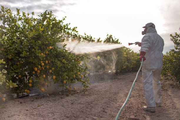 Best Pest Inspection Near Me  in Douglas, AL