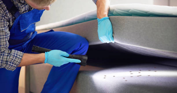 Best Pest Removal Services  in Douglas, AL