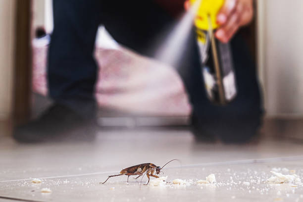 Best Affordable Pest Control Services  in Douglas, AL